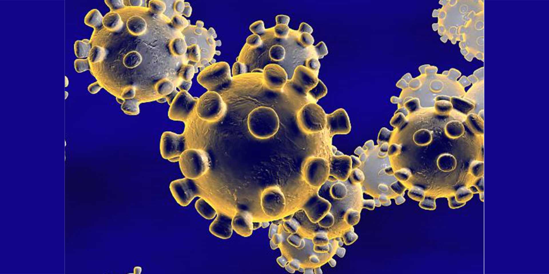 plan-contingencia-del-grupo